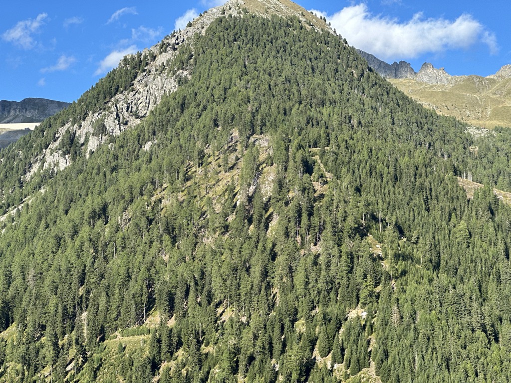 ritterhutte