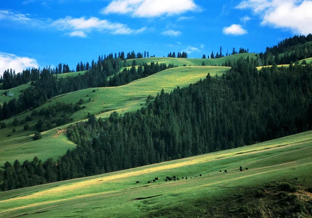 Photo №2 of Riwoqê