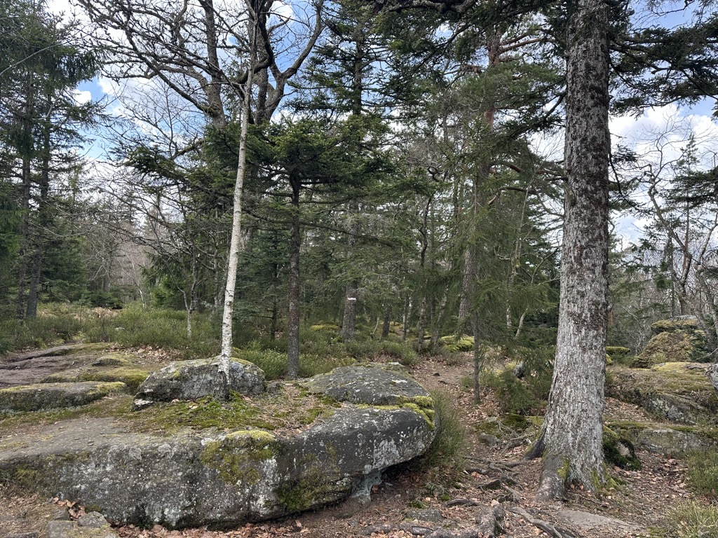 Photo №2 of Rocher de la Petite Fée