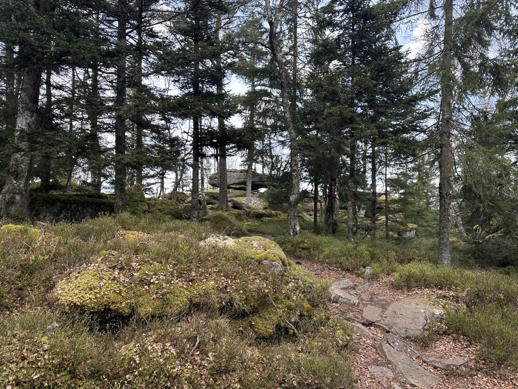 Photo №2 of Rocher des Reptiles