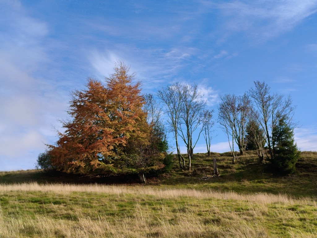 Photo №2 of Rohrbachskopf