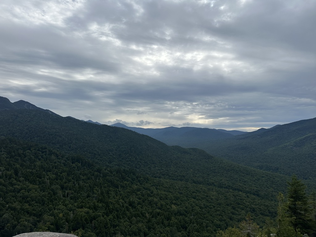 Photo №1 of Rooster Comb