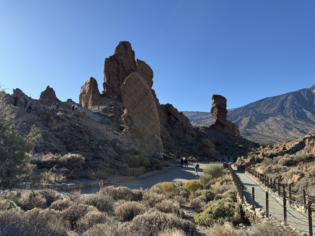 Photo №1 of Roque Cinchado