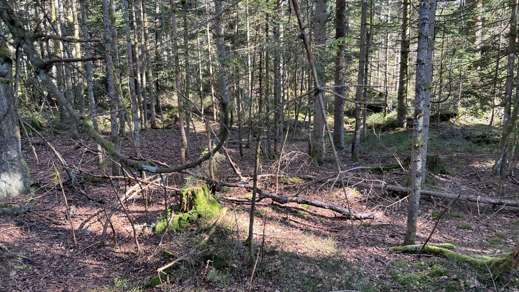 Photo №1 of Rosstauscherberg