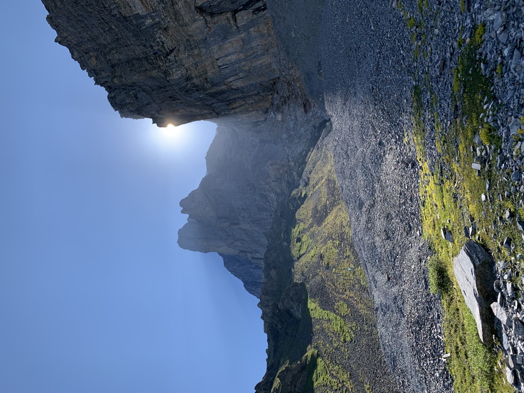 Photo №1 of Rotstock