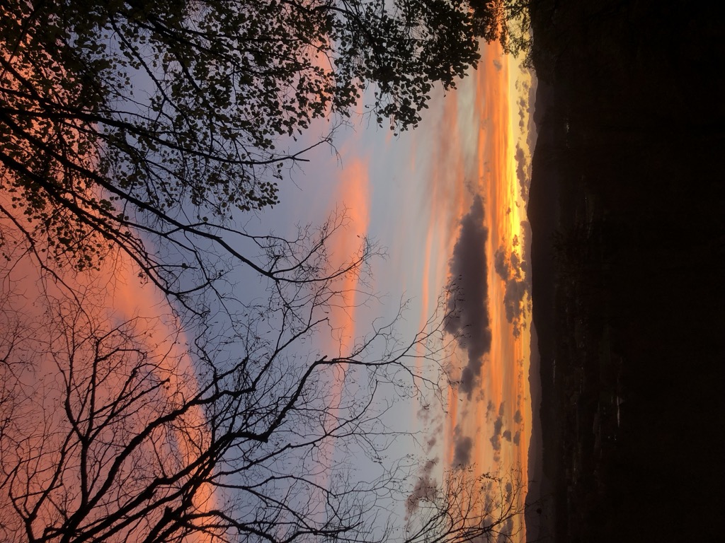 Photo №2 of Rožnik