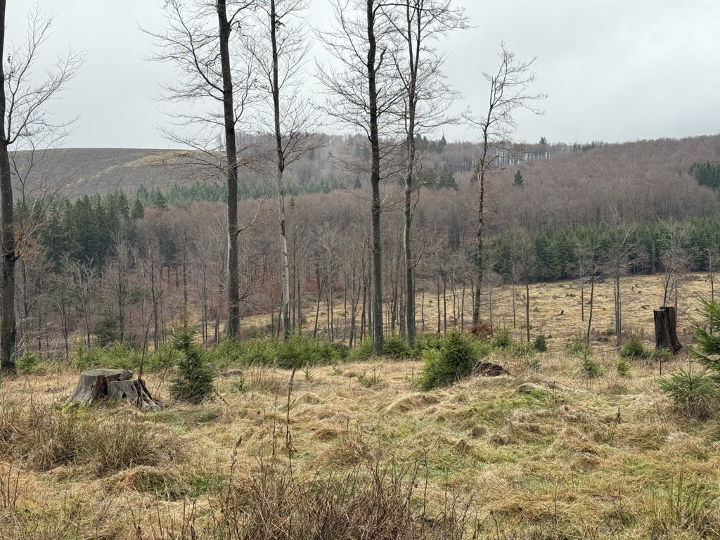 Photo №2 of Ruhberg