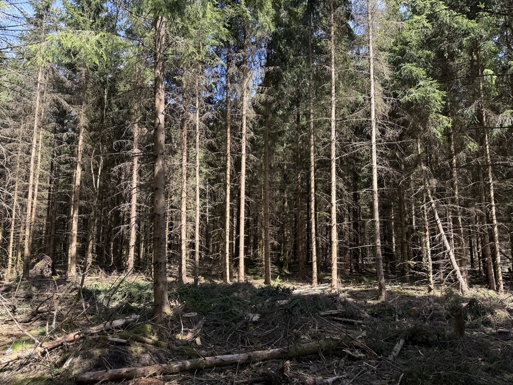 Photo №2 of Ruhrkopf