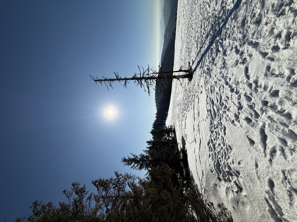 Photo №1 of Rysianka