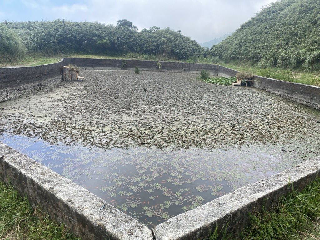Photo №5 of Sēnlín Huǒzāi Xiāofáng Xùshuǐchí