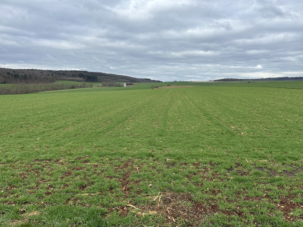 Photo №2 of Sachsenberg