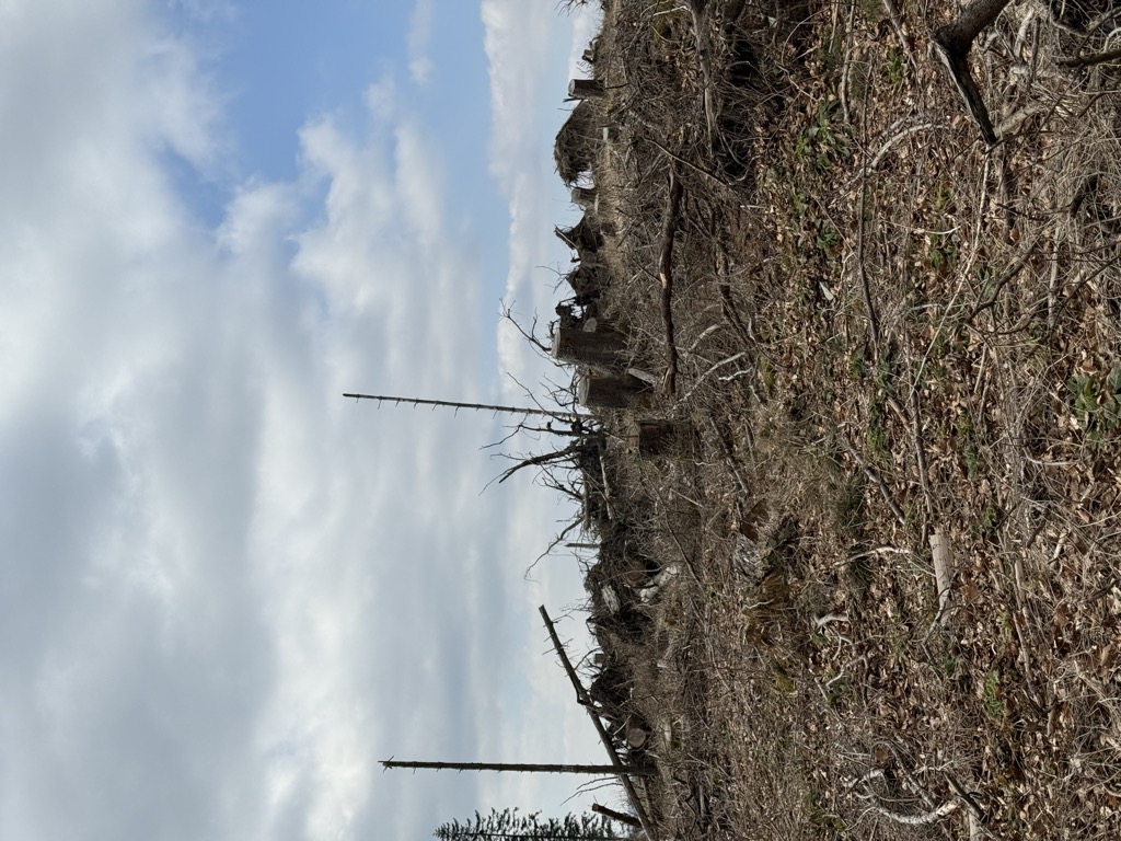 Photo №1 of Sähre