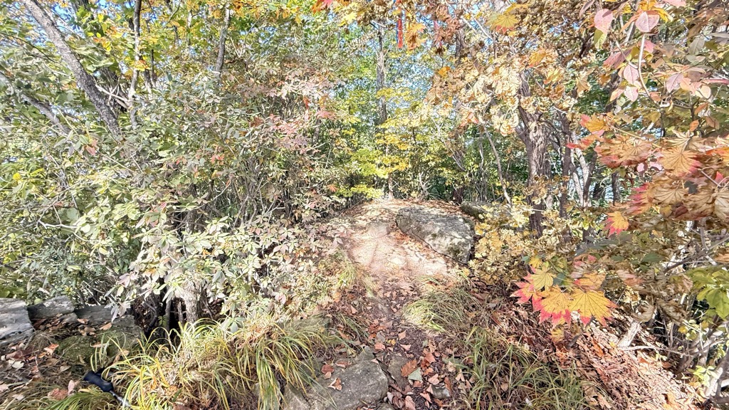 Photo №2 of Sajasan