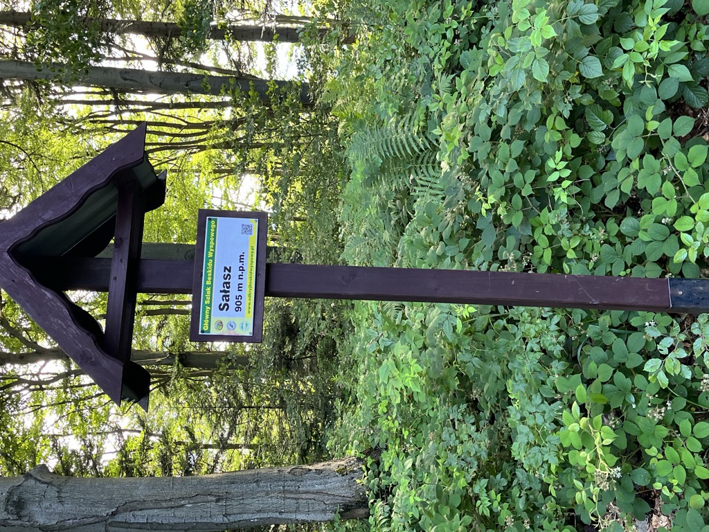 Photo №1 of Sałasz