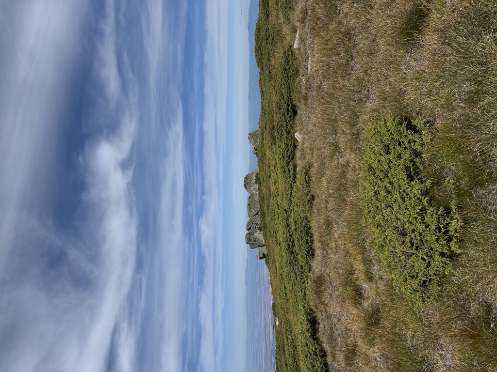 Photo №1 of Samara