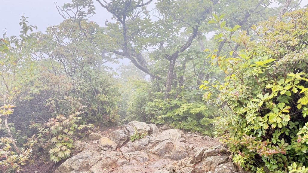 Photo №2 of Samgagjeom