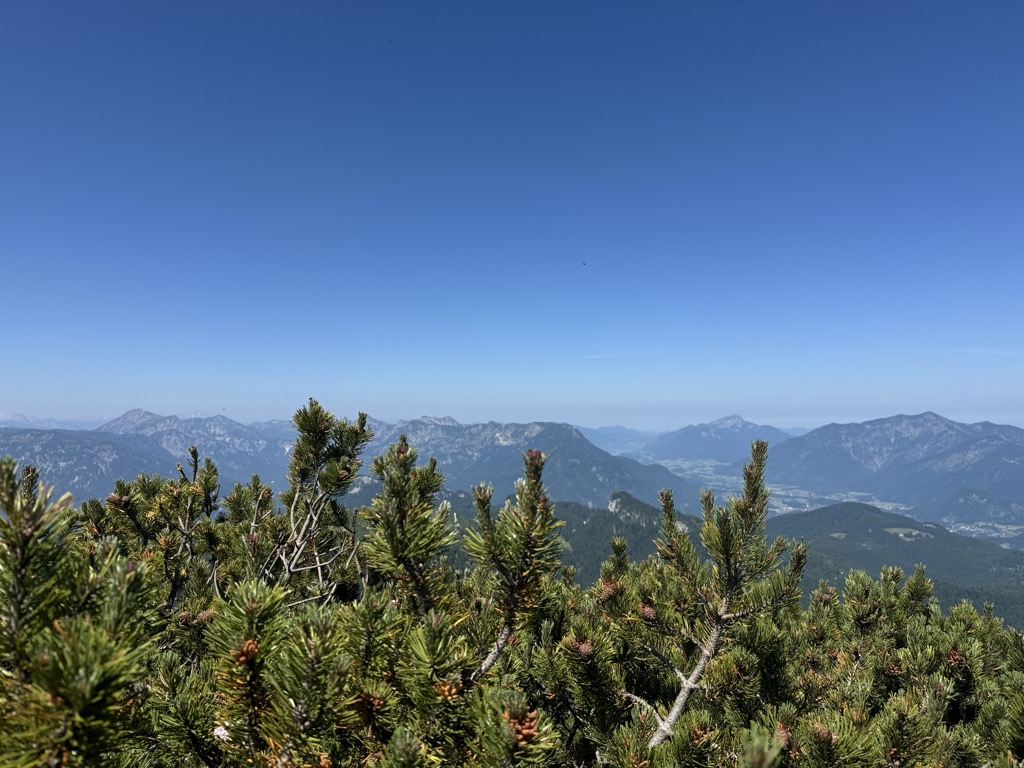 Photo №2 of Sandling