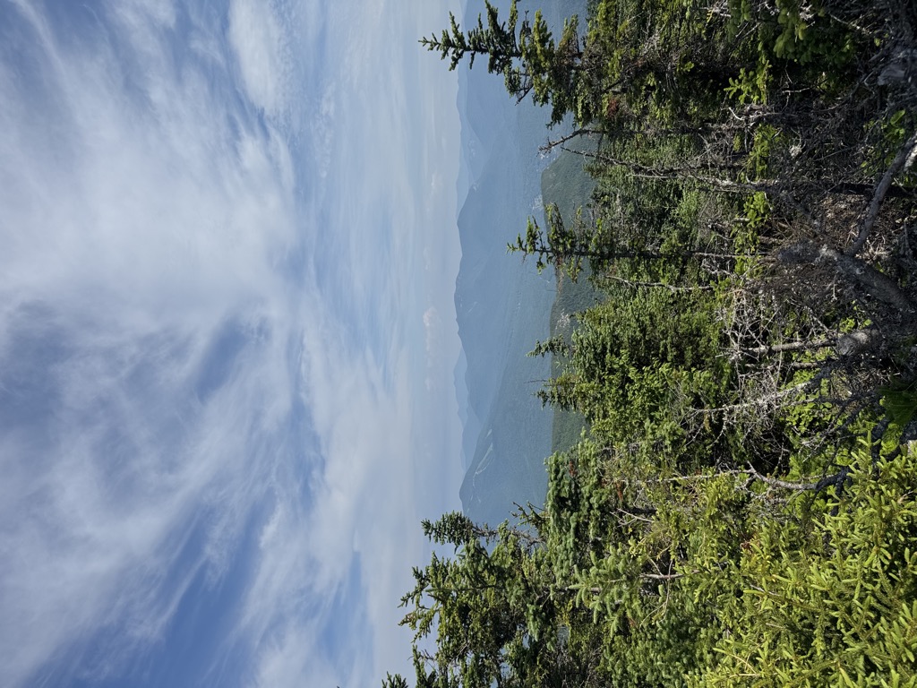 Photo №1 of Sandwich Dome