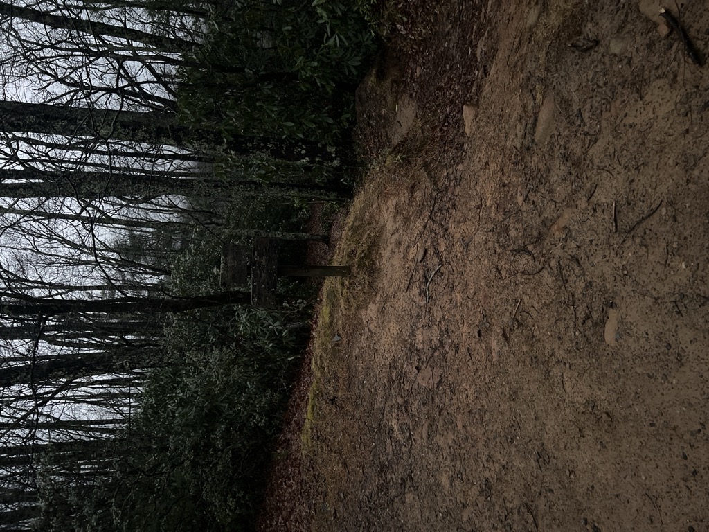 Photo №3 of Sandy Gap