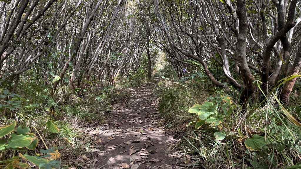 Photo №1 of Sangwolbong