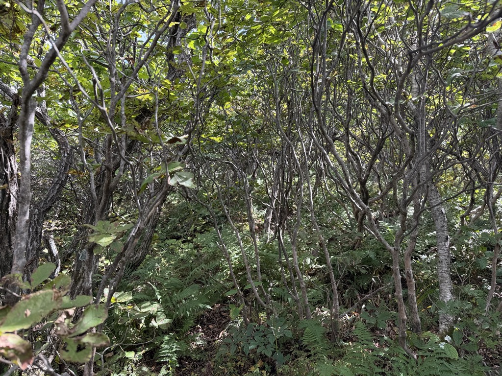 Photo №2 of Sangwolbong