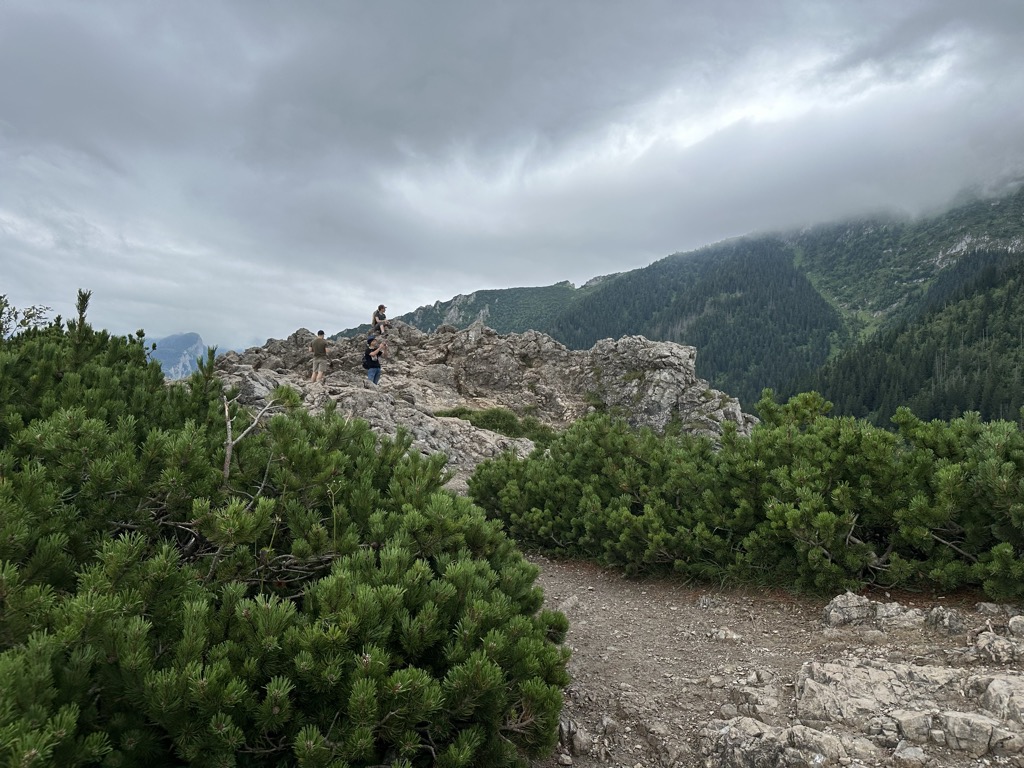 Photo №7 of Sarnia Skała