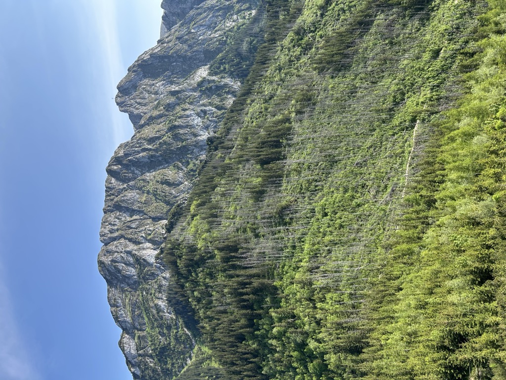 Photo №4 of Sarnia Skała