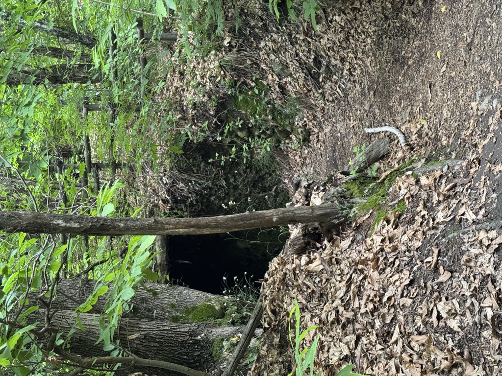 Photo №1 of Sasso di Cavallasca