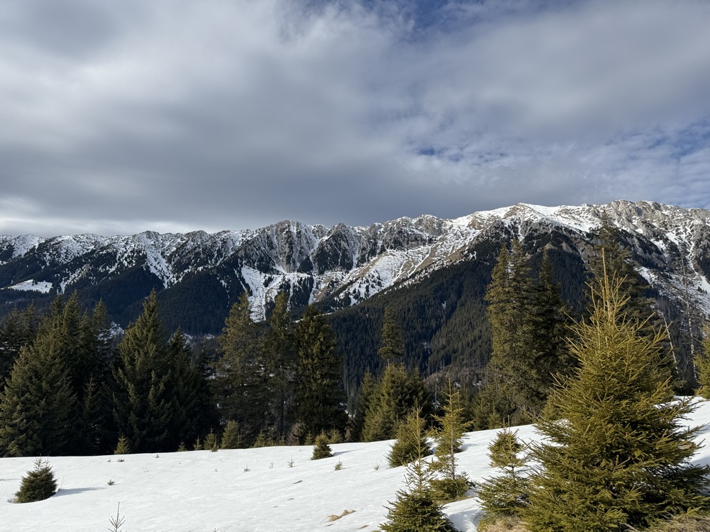 Photo №2 of Șaua Joaca
