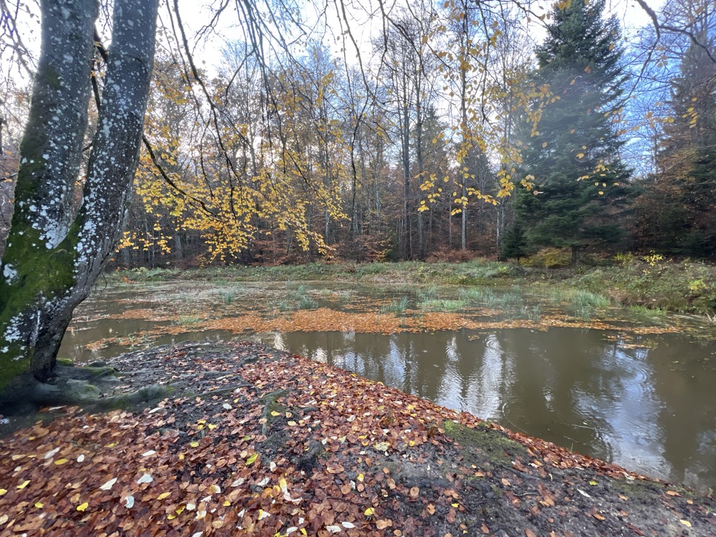 Photo №2 of Sauhülbe