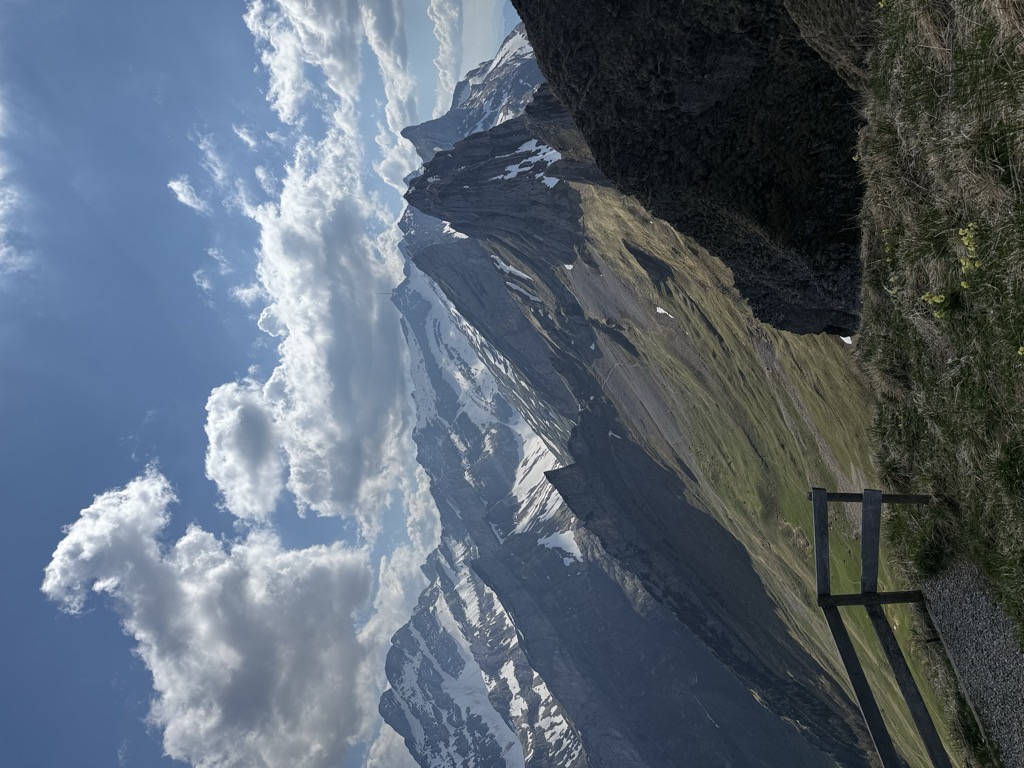 Photo №2 of Schäfler