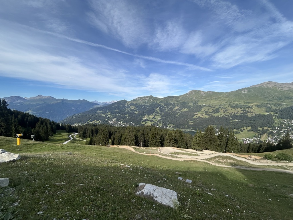scharmoin