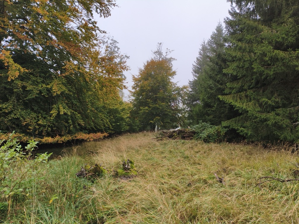 Photo №3 of Schierenberg