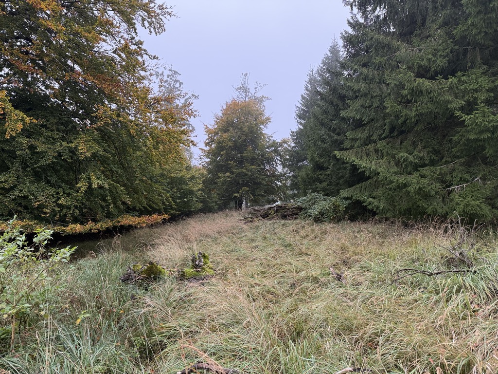 Photo №2 of Schierenberg