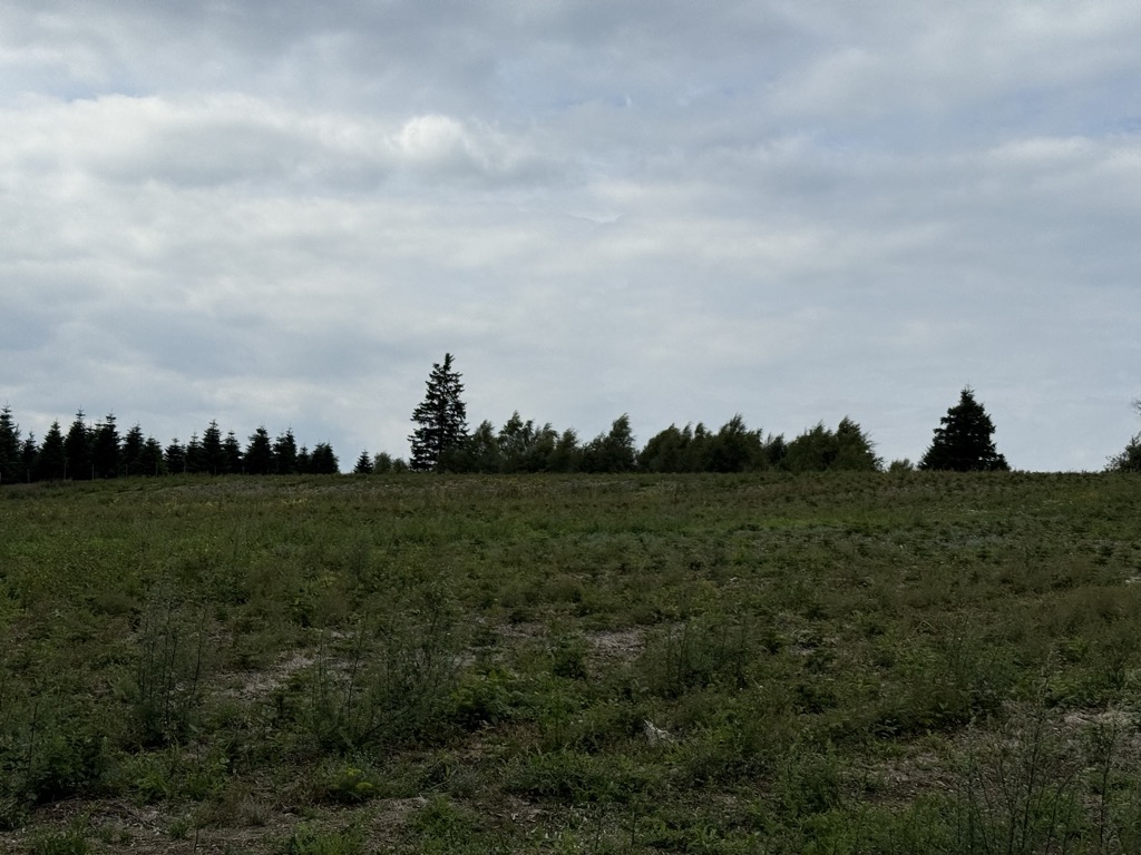 Photo №2 of Schiershagen