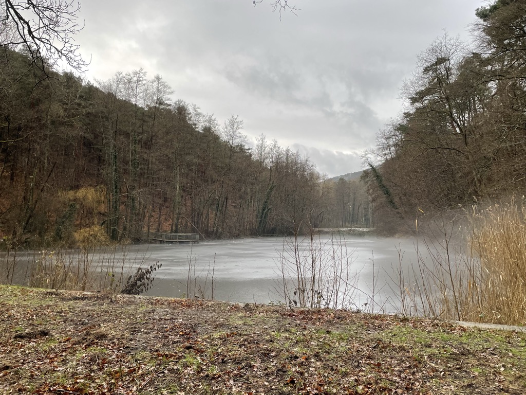 Photo №2 of Schlangenweiher