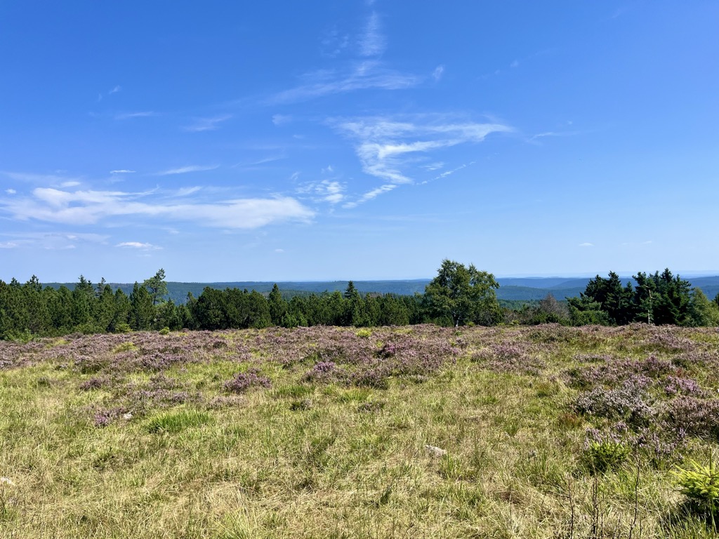 Photo №1 of Schliffkopf