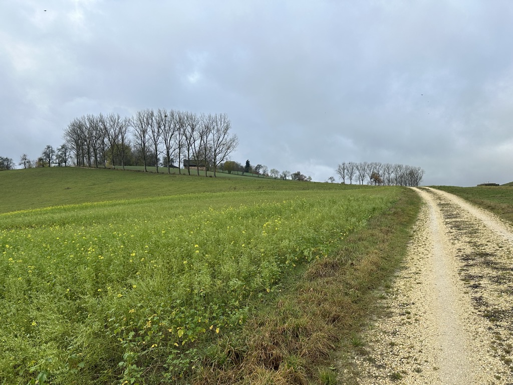 Photo №2 of Schloßberg