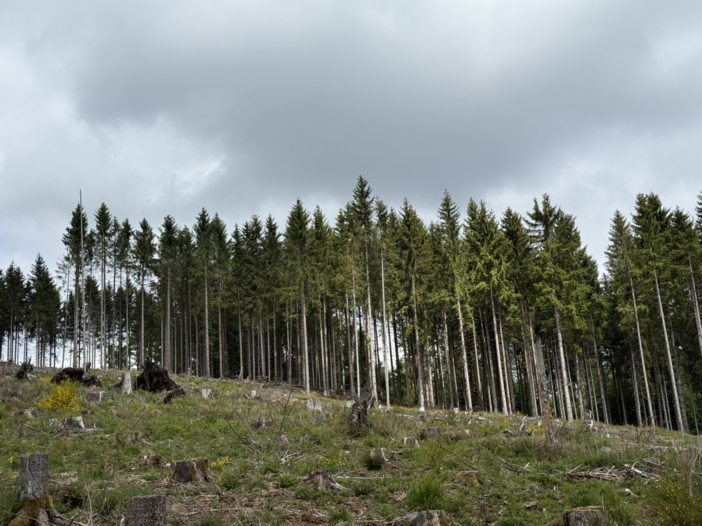 Photo №1 of Schlosserskopf