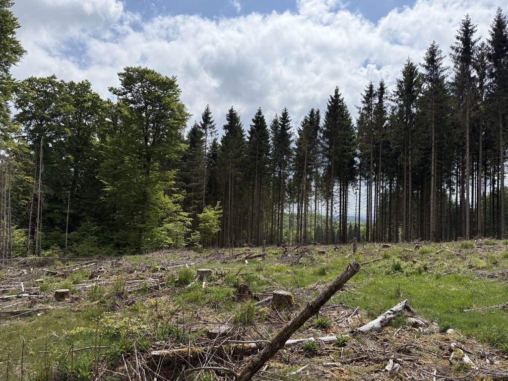 Photo №2 of Schlosserskopf