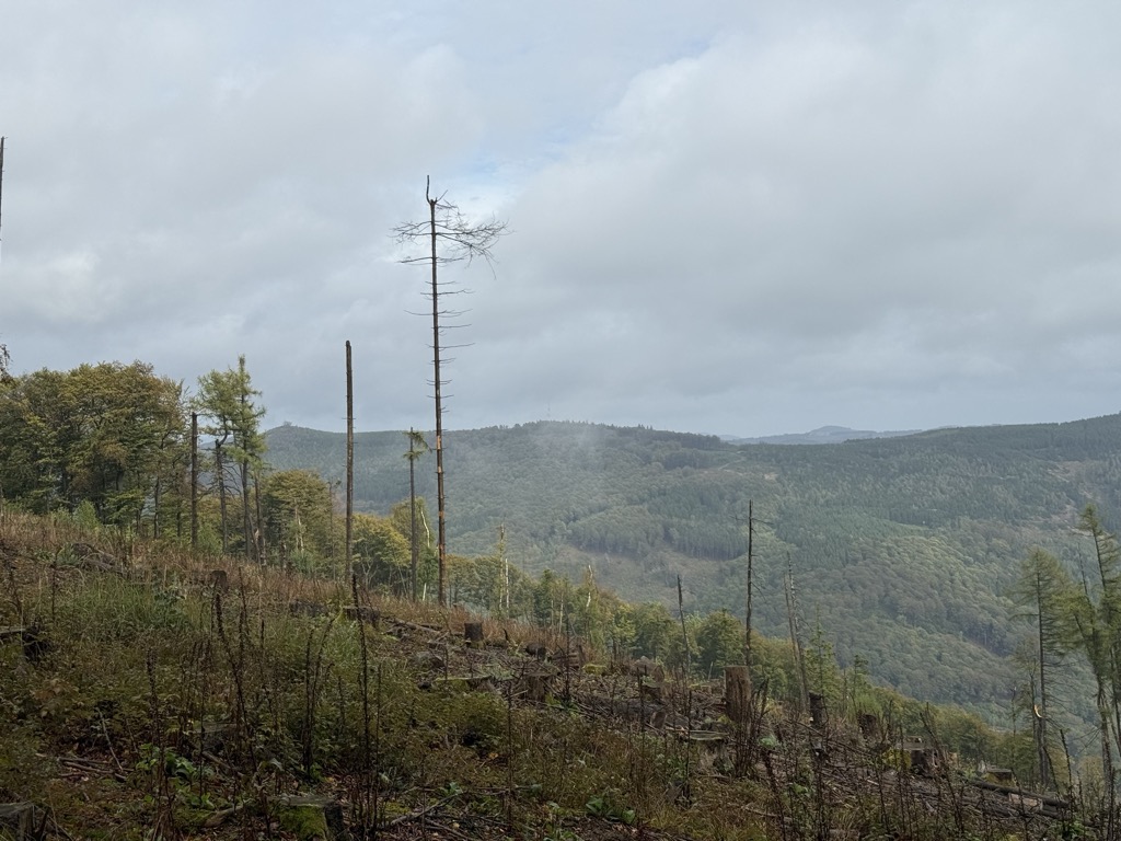 Photo №2 of Schmalenberg