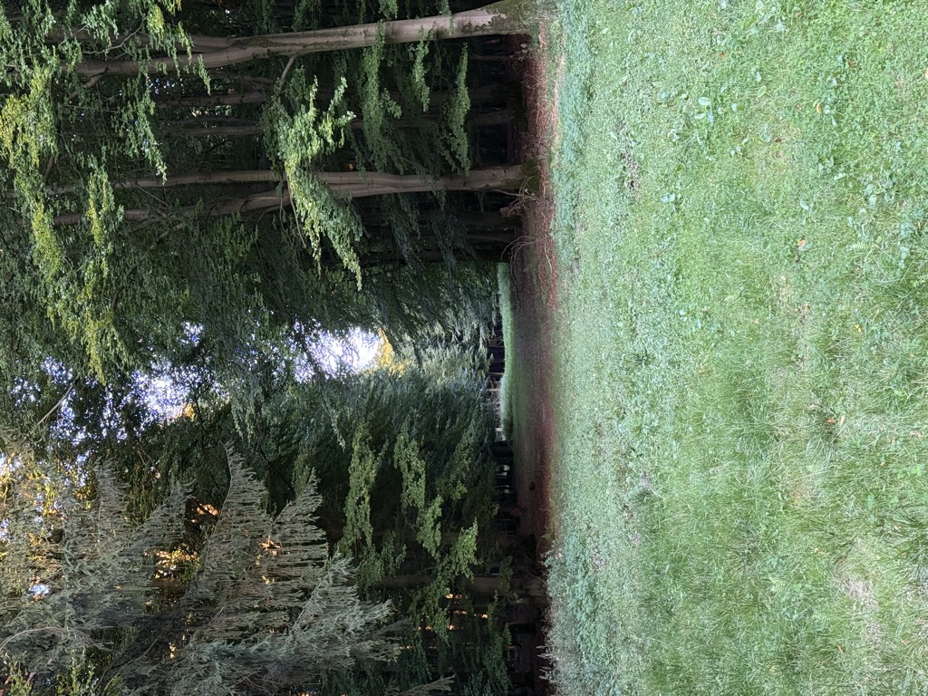 Photo №1 of Schneeberg