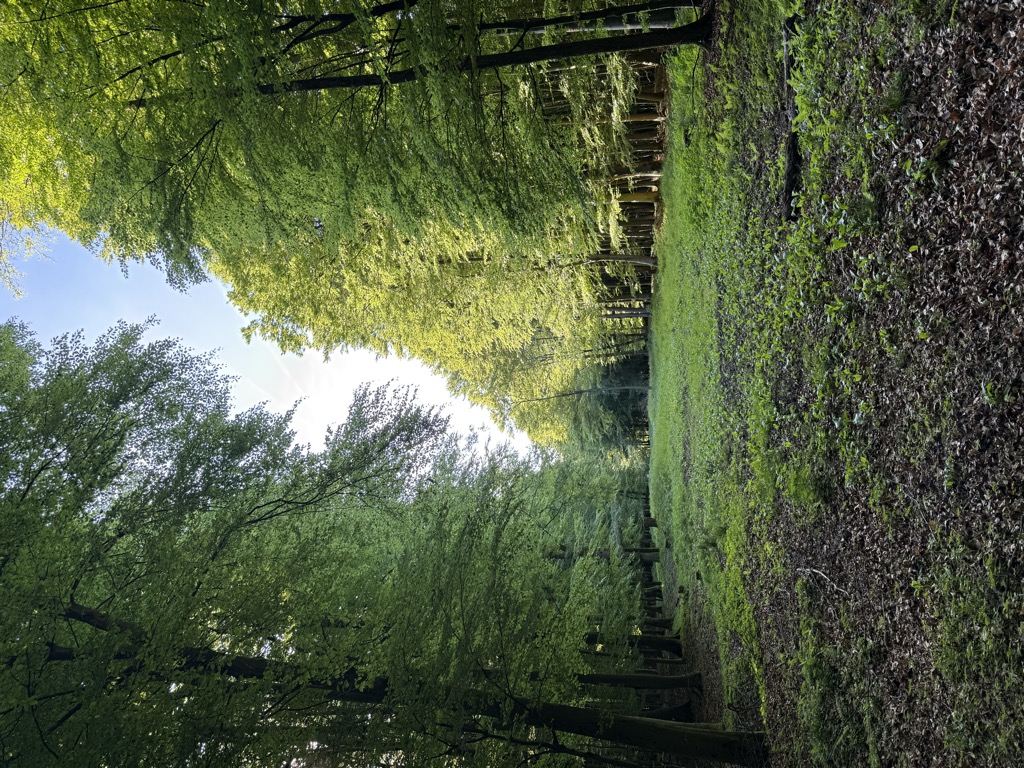 Photo №2 of Schneeberg