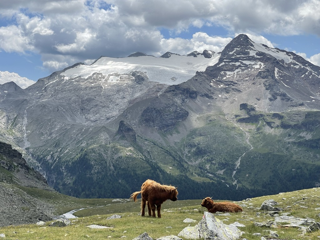 Photo №1 of Schneebiger Nock