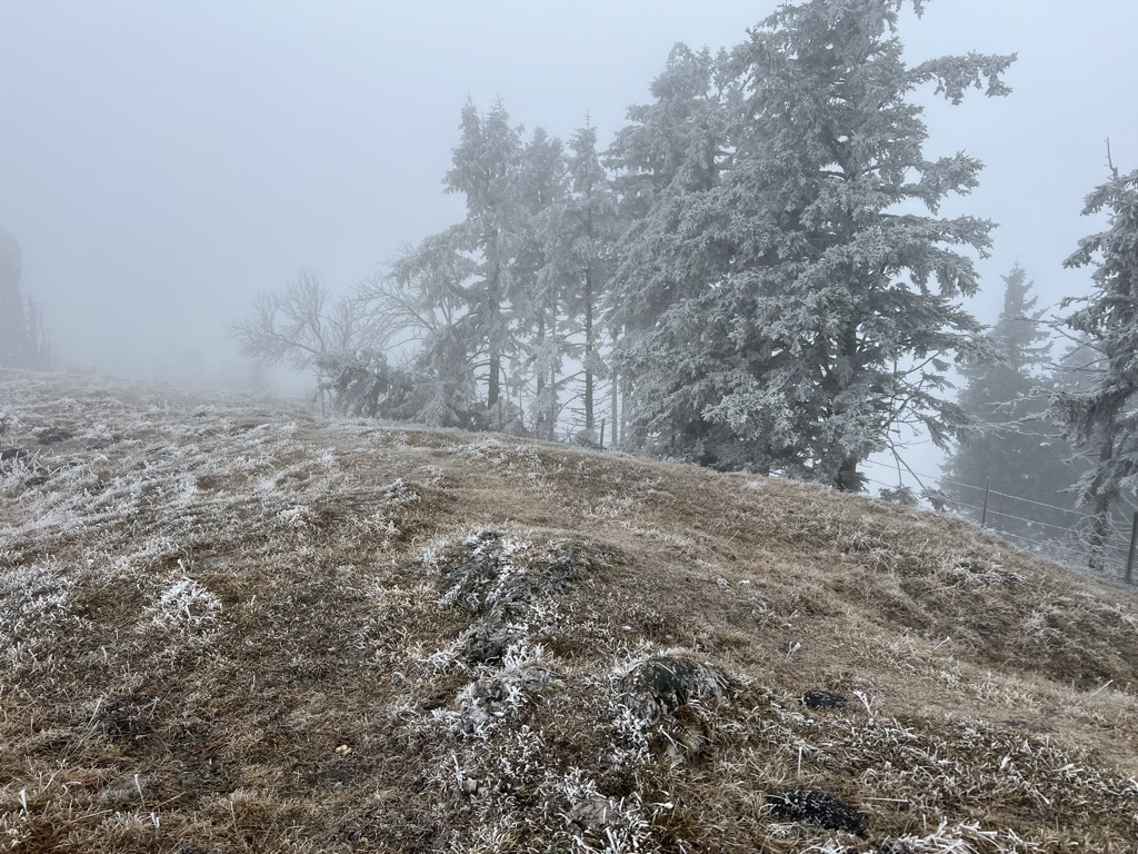 Photo №1 of Schöcklkopf