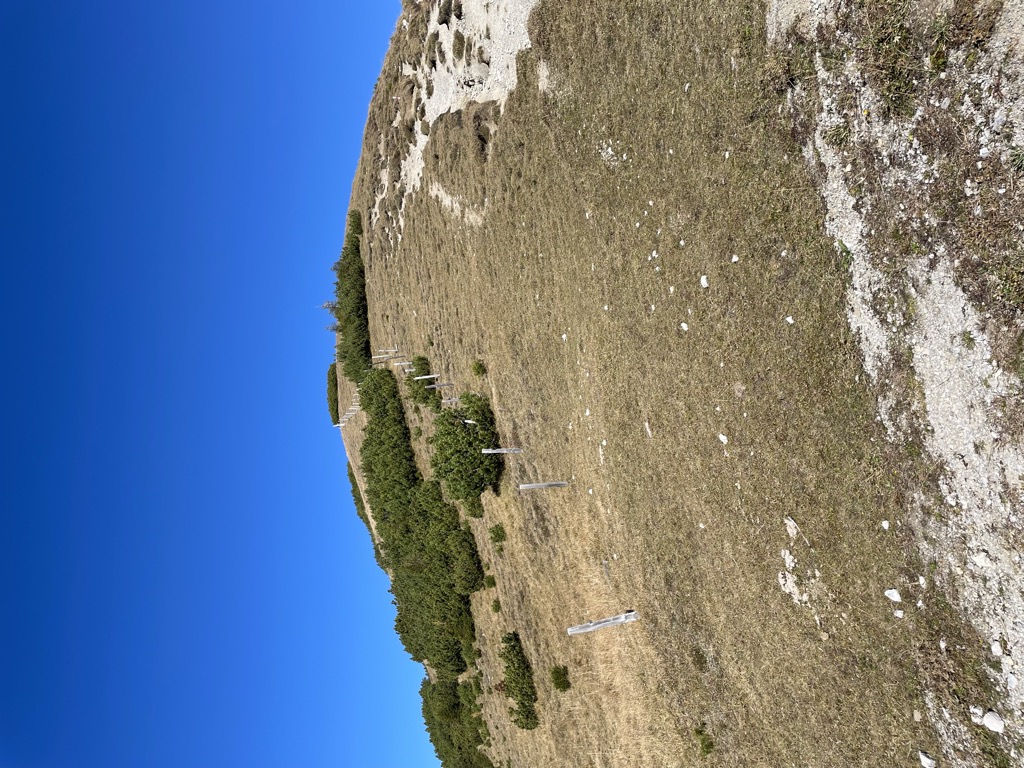 Photo №1 of Schönberg