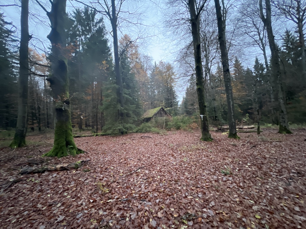 Photo №2 of Schorren