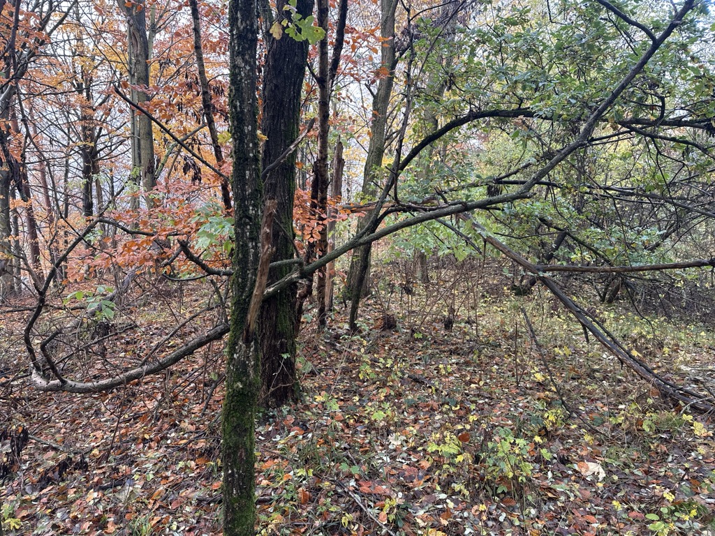 Photo №2 of Schradenberg