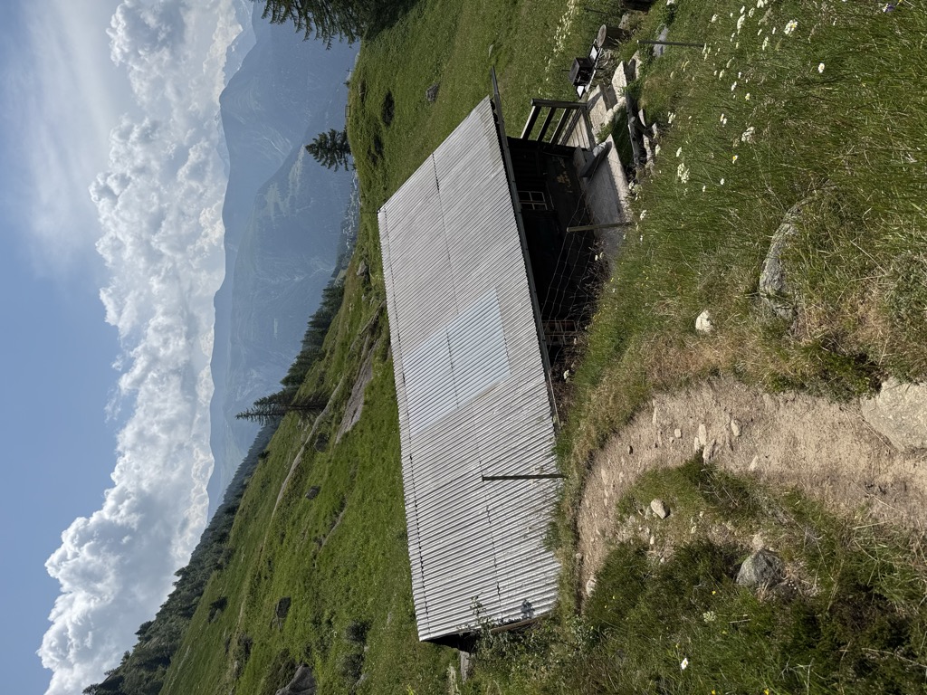 schranni-2