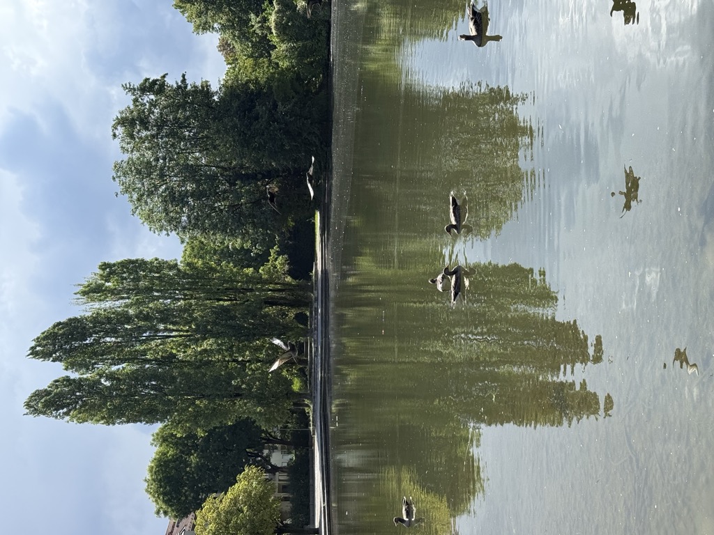 Photo №3 of Schwabinger See